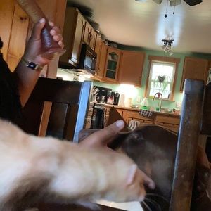 Meet your Posher, Kaylie